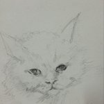 +추가글) 반려동물 그림을 <b>투박</b>하지만 그려드립니다