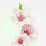 <b>asmr</b> 추천좀