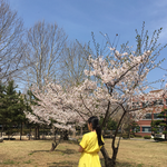 [<b>존예</b>] 노란 원피스 어떠나요