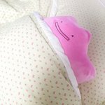 <b>메타</b>몽 인형 사찌롱