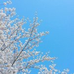 [댓글부탁해] 인스타 동영상 <b>재생</b>하면