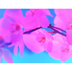 [모두드루와] 정말 묻혀선 안될 역대급 뮤비