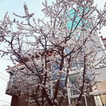 학교에서 인성검사를 했는데..