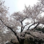 김빠비 저 이상한애 봐라 꼬라지를