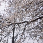 [조언부탁해] 남자애들이랑 친해지는 법 좀!