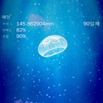 [드루와] <b>해파리</b> 키우기 하는 애들 있어?