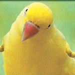 [드루와] 외모관련 글 올라오면 개빡치는거