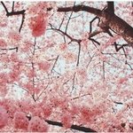 애들아 우리 할아버지 진짜 <b>위독</b>한가봐