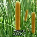 [댓글부탁해] 학교 규칙 너무 짜증난다ㅠㅠ