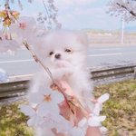 [드루와] 아직 <b>수련</b>회나 수학여행 안 간 판녀들아