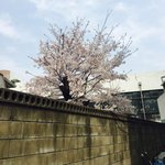 [조언부탁해] <b>반</b>에 친구가 없어