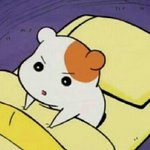 지금언니방에서우는소리들리는데<b>머지</b>ㅜㅜㅜ