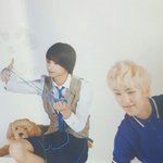 [세븐틴] 와 <b>이사</b>진모야...