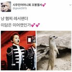 [시우민] <b>미어캣</b>이 된 시우민ㅋㅋㅋ