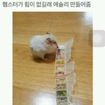 얘들아 틴트 추천하자