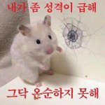 [NCT] 어그로분들 <b>감사</b>합니다