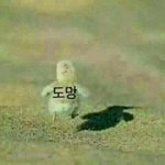 너네는 <b>발의</b>됐으면 하는법있어?