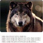 [꼭조언부탁] 솔직히 남자는 바람을피던 <b>환승</b>을하던 전여친을그리워한다