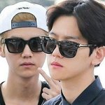 [EXO] 난 왜 <b>둘</b>기짤모을<b>때</b>마다 스트레스가 풀릴까