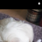 [EXO] <b>폰카</b> 영상 화질 ㅇㄸ