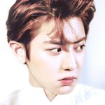 [EXO] 띠니가 싫어하는 엑소짤<b>올리</b>장~~