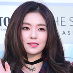 [조언부탁해] 아이린 저 <b>음영</b>섀도우랑 비슷한거 추천좀
