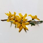 얘들아 우리 푸디로 찍은 봄사진 공유하자