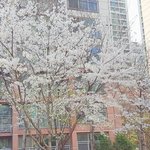[댓글부탁해] 오늘 케팝 <b>결승전</b>한다