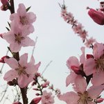 [조언부탁해] 난 <b>남자</b>들만 예쁘다고 하는 얼굴인데;;;