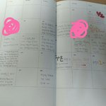 [이삐] 혹시 시그 <b>공책</b> 플래너 쓰고있는이삐있어?