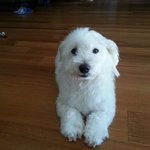 [방탄소년단] 이삐들은 방탄곡중에서 현타오는 곡있어?