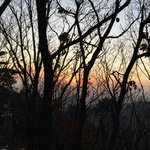 [세븐틴] 최강 일코짤.<b>jpg</b>