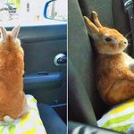 [방탄소년단] 정구기의 하루