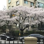 [댓글부탁해] 동생있는 판녀들아 ㅠㅠ