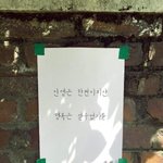 <b>휴전</b> 나라라는게 너무 안타까워