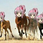 말해 <b>Yes</b> or no