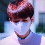 [인피니트] 벚꽃 나무  플뷰 ㅠㅠ