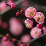 [10대의성] 너희들만 알고있는 비밀있어??