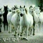 내 친구들 렌즈 돌려<b>낌</b> ;;