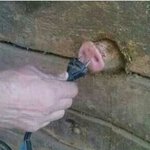 [드루와] 나 편의점 알바하는데 어떤 고딩이 콘돔<b>사감</b>