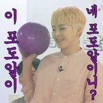 [EXO] 티켓팅 D-2 시우민 요뎡님의 <b>포도</b>알빔을 보았습니다