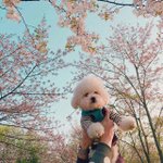 삼성꿈장학 <b>신청</b>한 애들 있니?