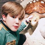 [방탄소년단] 생가해보니까 4기
