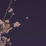 더페 섀도우 추천해<b>조라</b>~~~