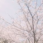 [EXO] <b>우주</b>폰을 무시하지 말라