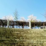 [EXO] <b>나</b>도 꽃 사진 찍었다 존<b>예</b>