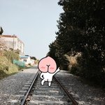 [EXO] 우리지역은 벚꽃 다 졌는데.... 그래서 걍 해운<b>대감</b>