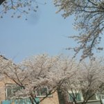 [EXO] 미안하다 사진곶<b>아다</b>