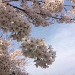 [조언부탁해] (혐짤<b>x</b>)환고포증 있는사람ㅠㅠㅠ