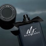 버버리 <b>조쉬</b> 화이트 하우스